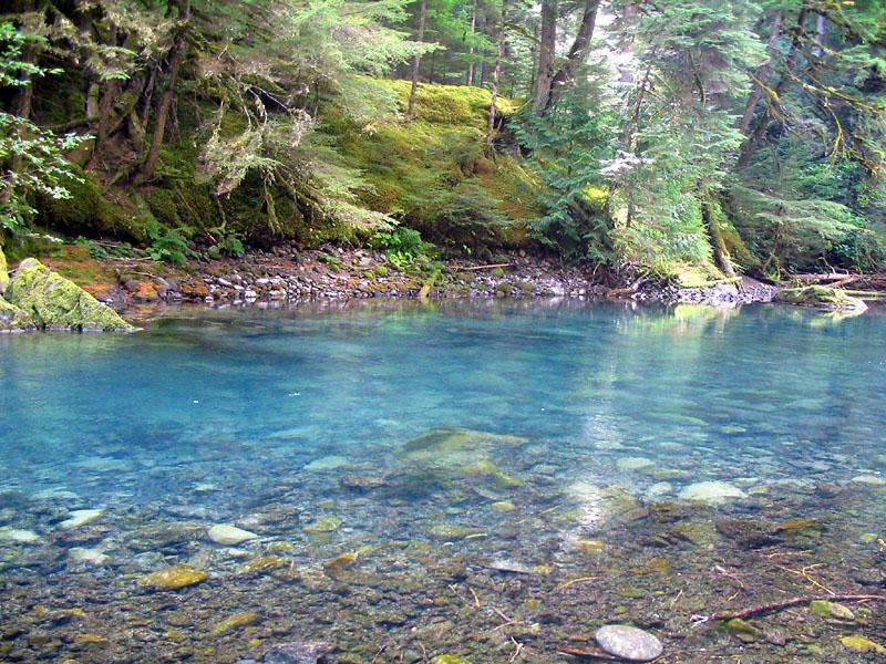 fishing time - mwd0988-fly-fishing-page.jpg